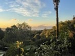 Views Views